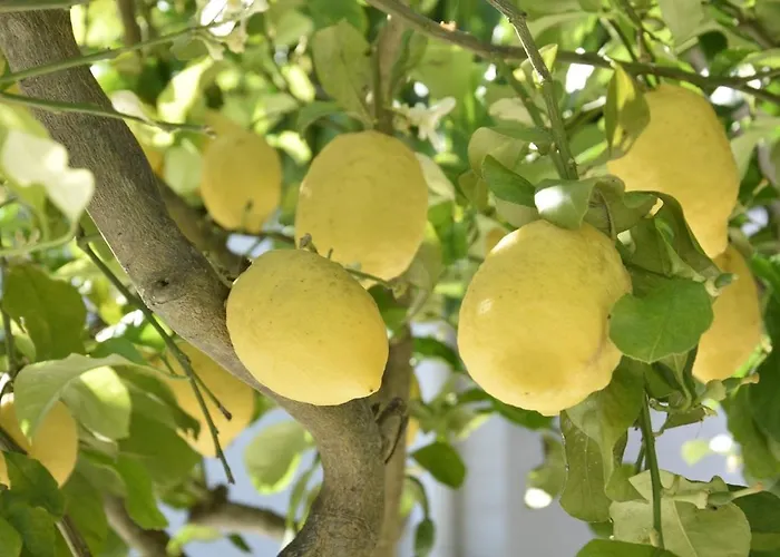 Vakantiehuis A Casuzza Salemi